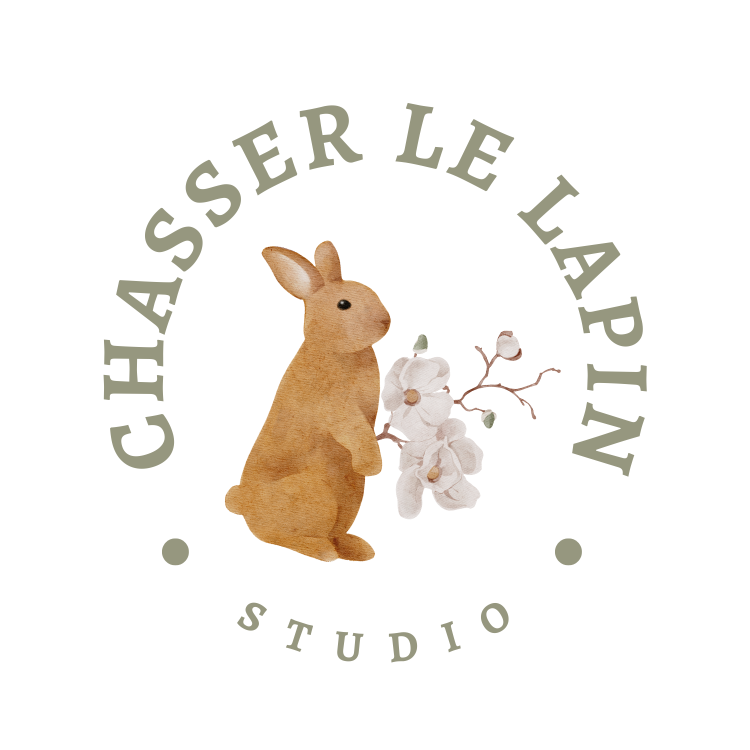 Chasser Le Lapin